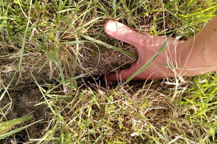 Foto van hand die scheurvorming in een weiland laat zien